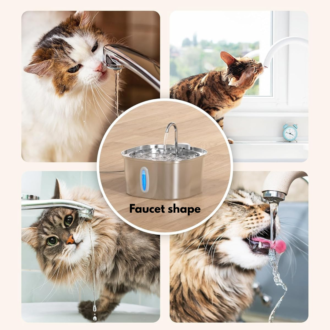 Aquaffy™ - Fresh, flowing water