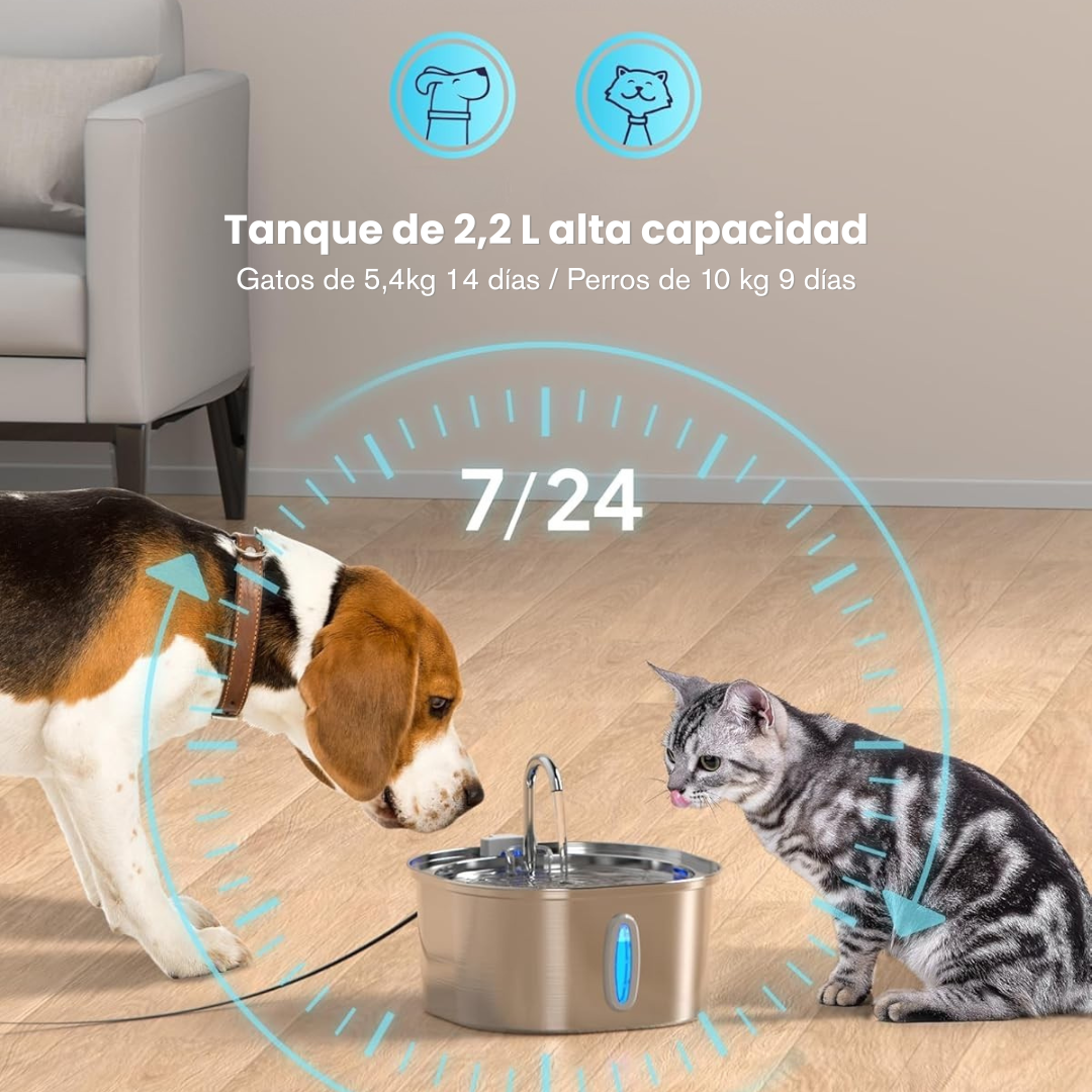 Aquaffy™ - Hidratación pura para tu gato