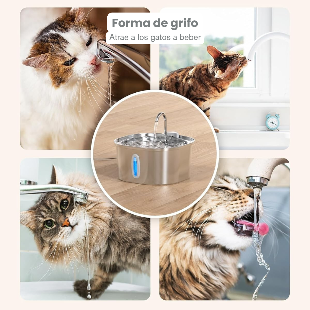 Aquaffy™ - Hidratación pura para tu gato