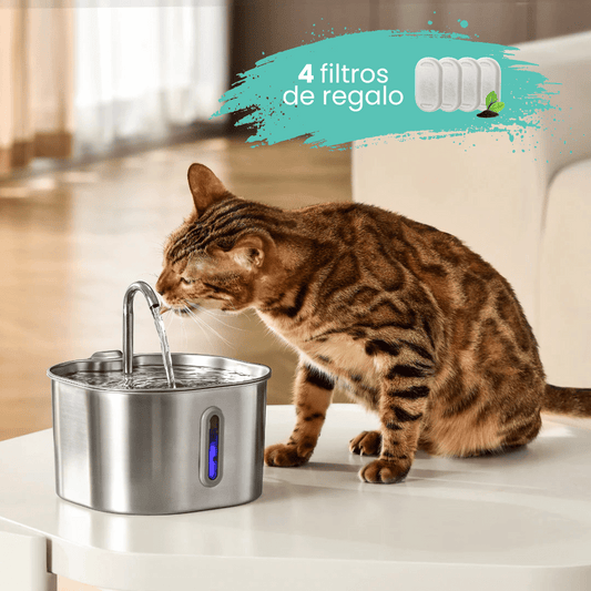 Aquaffy™ - Agua que sigue en movimiento