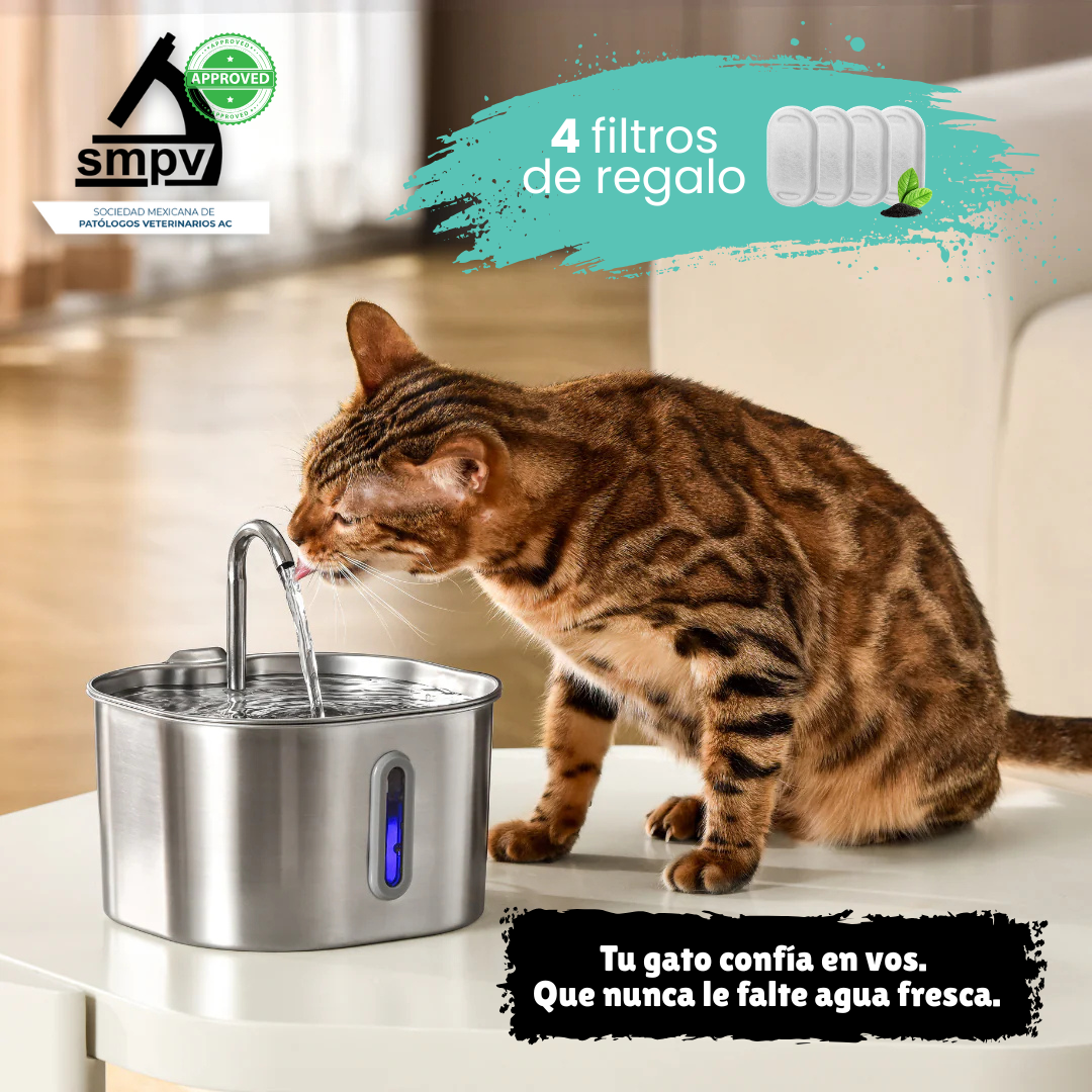 Aquaffy™ - Hidratación pura para tu gato