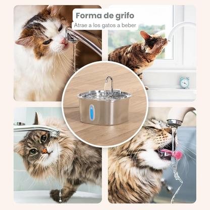 Aquaffy™ - Hidratación pura para tu gato